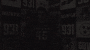 Letsgopeay Asun GIF by Austin Peay Athletics