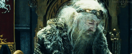 the lord of the rings film GIF