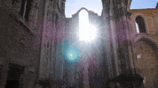sun lisbon GIF by For 91 Days