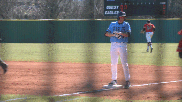 cal smith baseball GIF by Carson-Newman Athletics