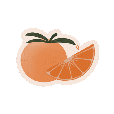 mackenziemencias giphyupload aesthetic orange oranges Sticker