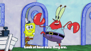 episode 7 plankton retires GIF by SpongeBob SquarePants
