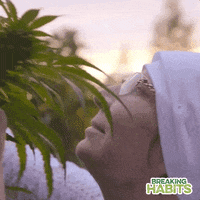 sister act film GIF by Signature Entertainment