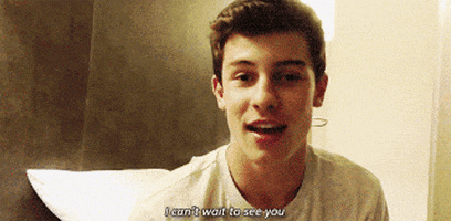 shawn mendes s GIF