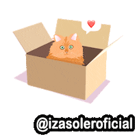 izasoleroficial cat box Sticker