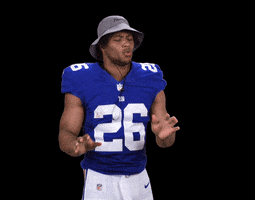 New York Giants No GIF by NFL