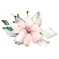 SpiritusNaturae fleur carte étape spiritus naturae spiritusnaturae Sticker