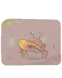 Crab Conservation Sticker