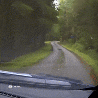 Back On Track Omg GIF by FIA World Rally Championship