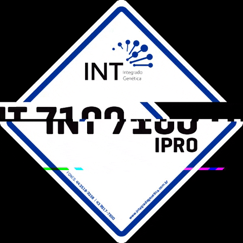 Integrado ipro integrado genética int sementes int 7100 ipro GIF
