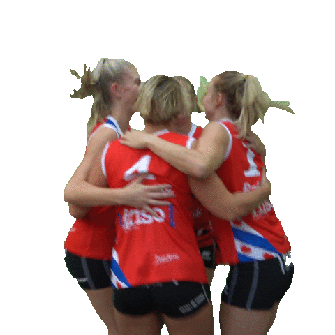 Volleybal Sneek Sticker by EyeWax