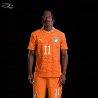 Fifa World Cup Elephants GIF by Respective