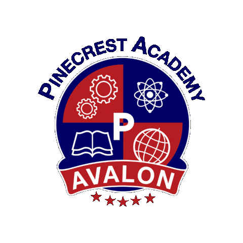 Patriots Sticker by Academica