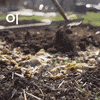 Garden GIF by Skaza Bokashi Organko