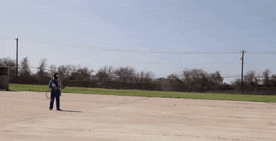 GIF by The Shorty Awards 