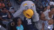 come on what GIF