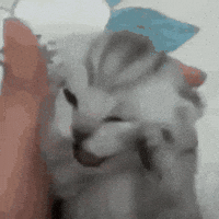 Screaming The Voices GIF