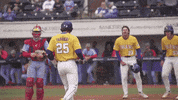 Home Run Baseball GIF by LSU Tigers