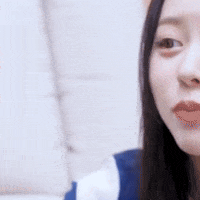 K Pop Laugh GIF