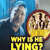 Afl Hawks GIF by Hawthorn Football Club