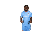 Pereira Nec Sticker by necnijmegen