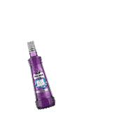 Puschkin weekend drinks vodka blueberry Sticker