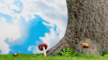 Chuck Chestnut Clip 3