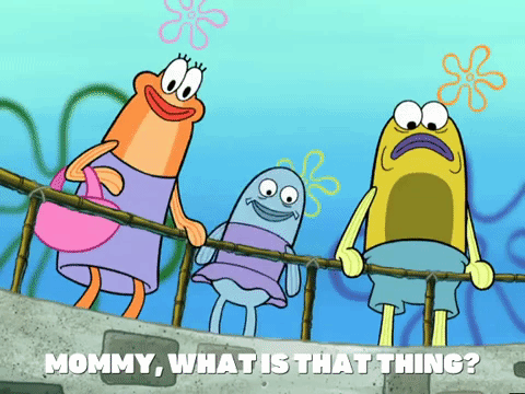 season 4 GIF by SpongeBob SquarePants