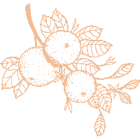 peachstatepride orange fruit clothing georgia Sticker