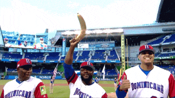 Dominican Republic Rally GIF by MLB