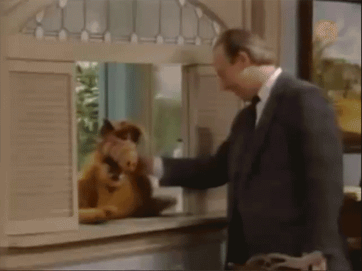 TV gif. John LaMotta as Trevor on Alf gives Alf a scratch behind the ear. Alf reacts happily, kicking his arm.