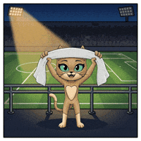 Football Omg GIF by CATBAT