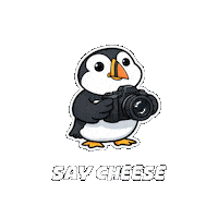 Fun Smile Sticker by Puffins