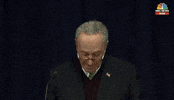 chuck schumer GIF