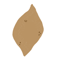 Sweetpotato Kachin Sticker