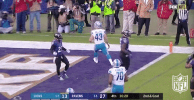 Detroit Lions Football GIF by NFL