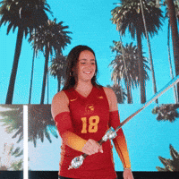 Uscwvb GIF by USC Trojans