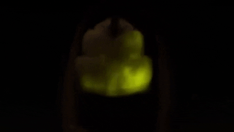alegalazb giphygifmaker GIF