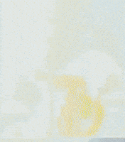 Linkin Park Japan GIF