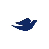Letschangebeauty Sticker by Dove