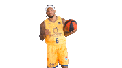 Liga Endesa Spinning Sticker by ACB