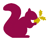 Fall Squirrel Sticker by Hickory Farms