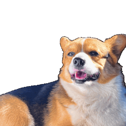 Dog Feeling Sticker