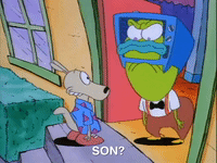 rockos modern life nicksplat GIF