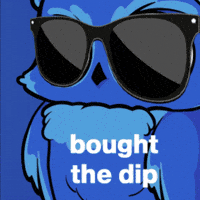 Crypto Owl GIF by BigBrains