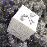 Merry Christmas GIF by Gnomo