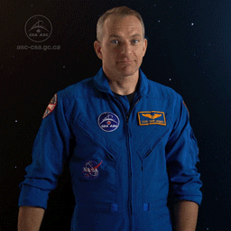 canadian thumbs up GIF