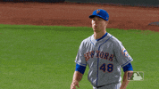 Ny Mets Reaction GIF by New York Mets