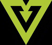 Virtuslogistics lets transport difference tsl GIF