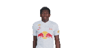 Football Sport Sticker by FC Red Bull Salzburg